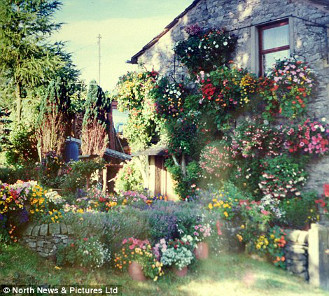 The Flower House in Bloom